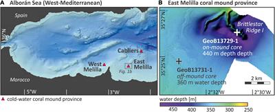 The Importance of Ecological Accommodation Space and Sediment Supply for Cold-Water Coral Mound Formation, a Case Study From the Western Mediterranean Sea